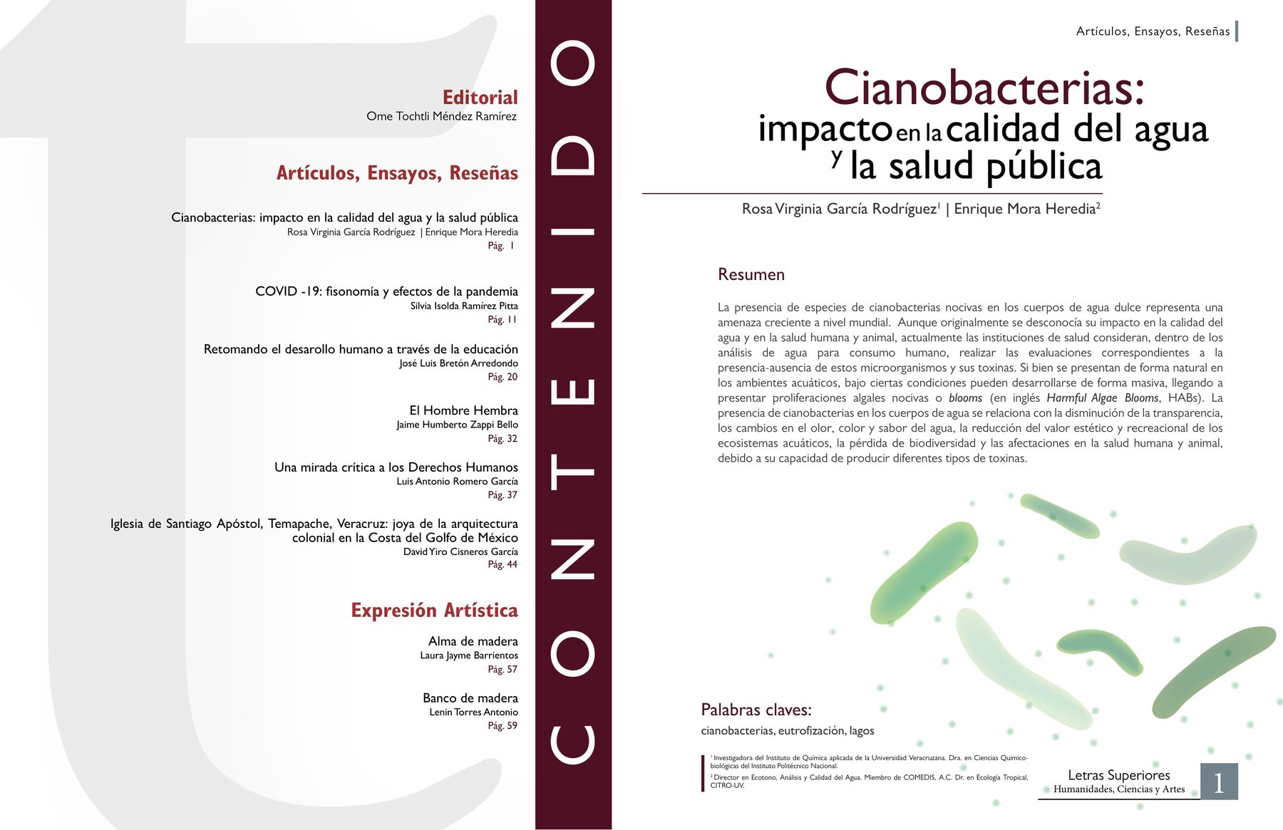 Revista Letras Superiores
