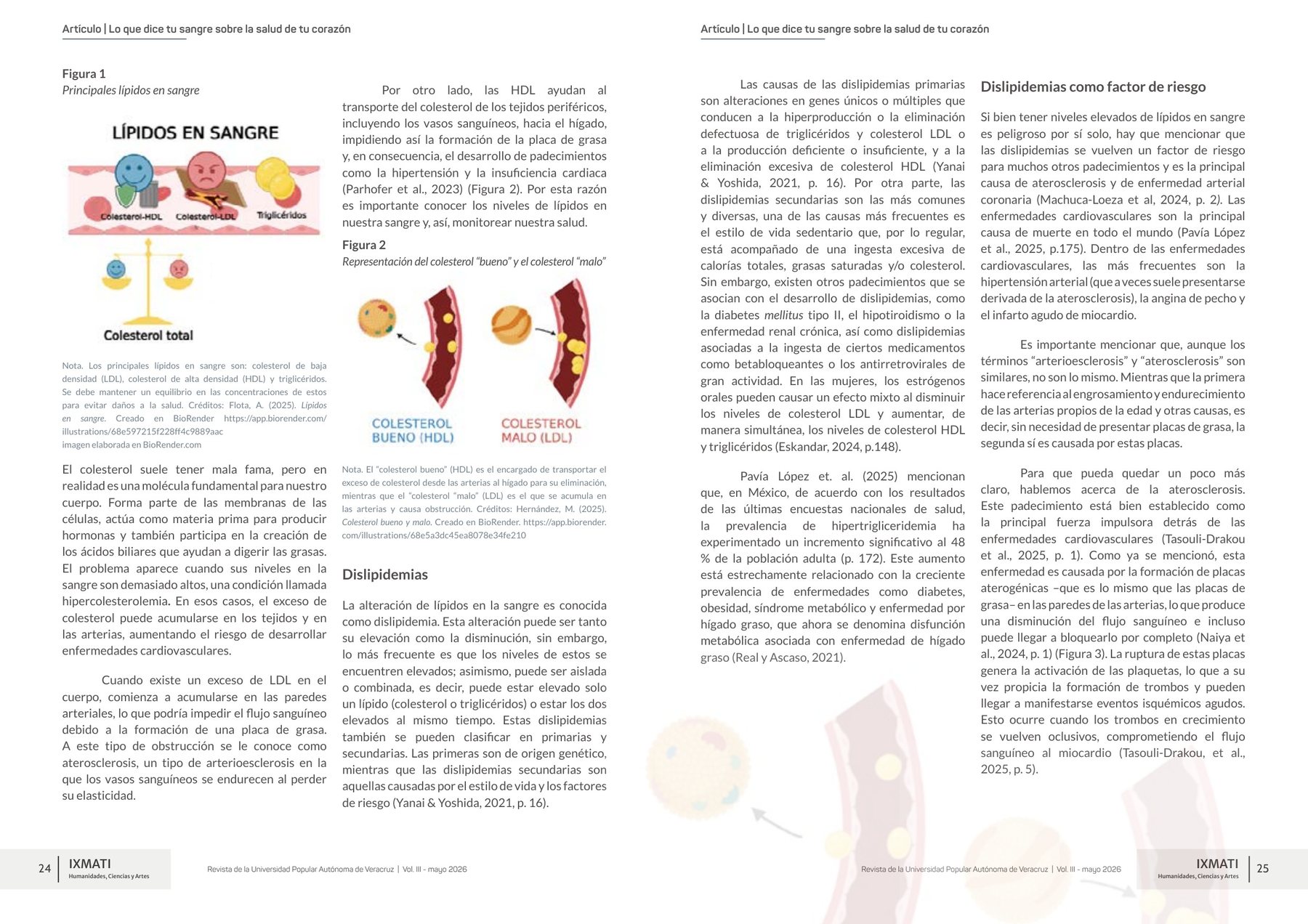 Revista Ixmati — 5